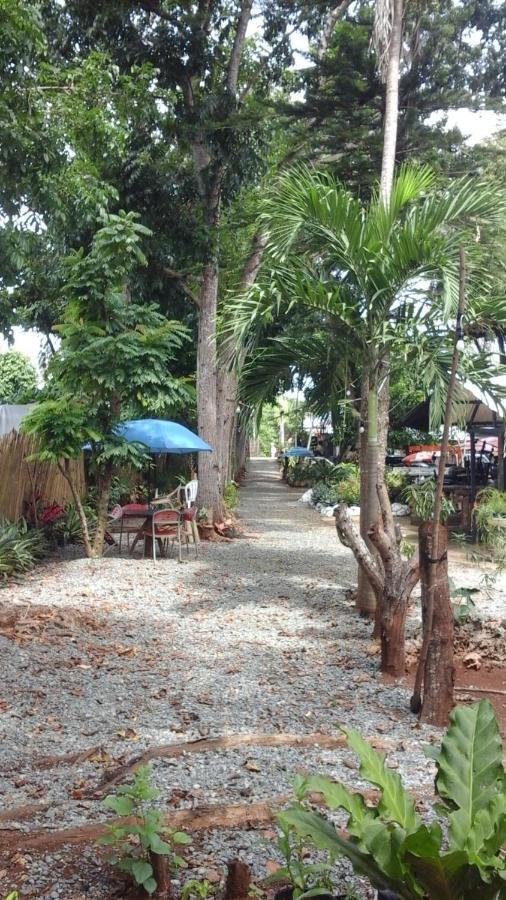 Larmar bed&breakfast Puerto Princesa Værelse billede
